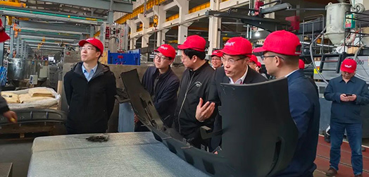 Warmly welcome Cheng Xiaohui, director of the Advanced Equipment Division of the Provincial Department of Economics and Information Technology, and his team to visit Kaihua Moulds for investigation